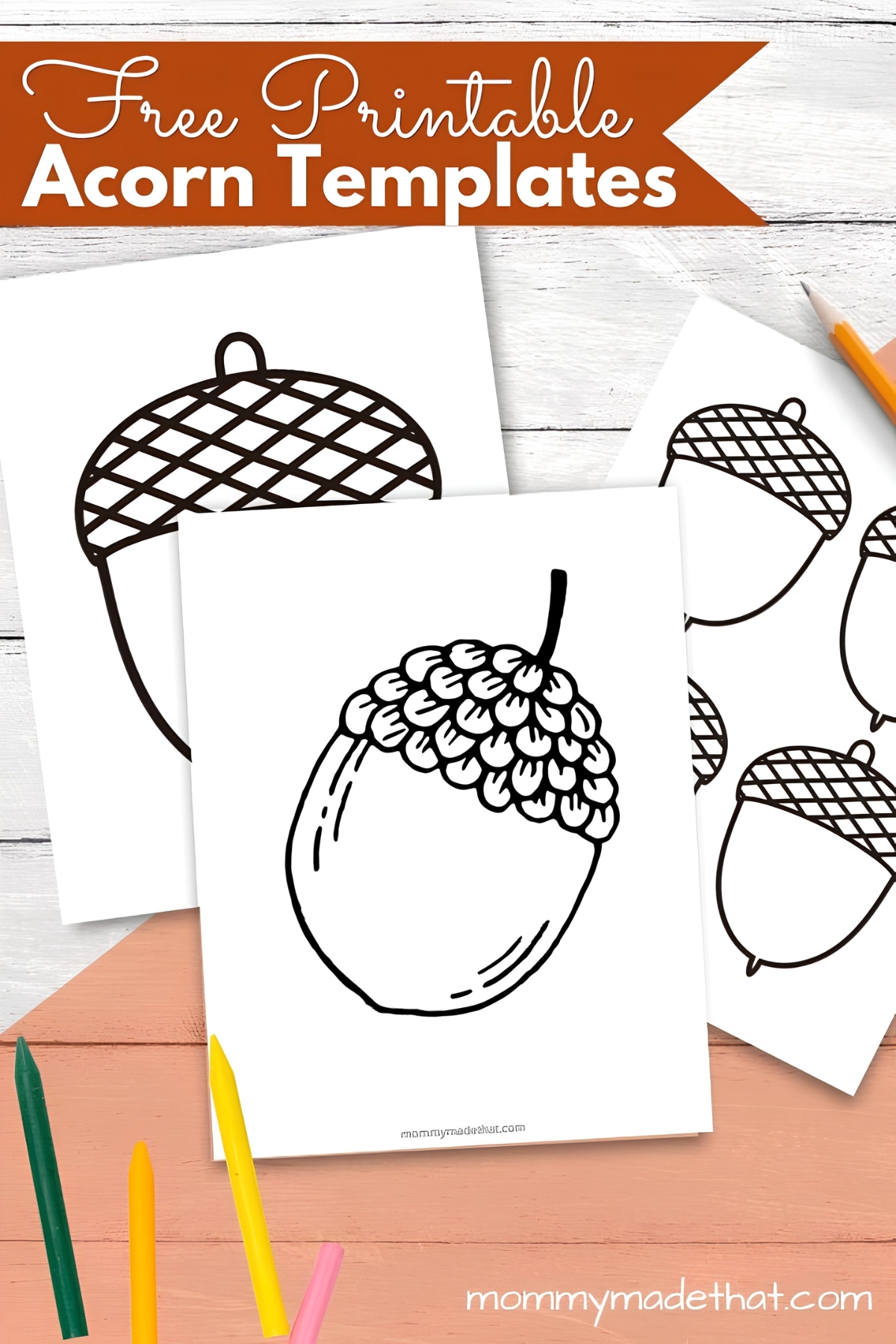 Acorn templates.