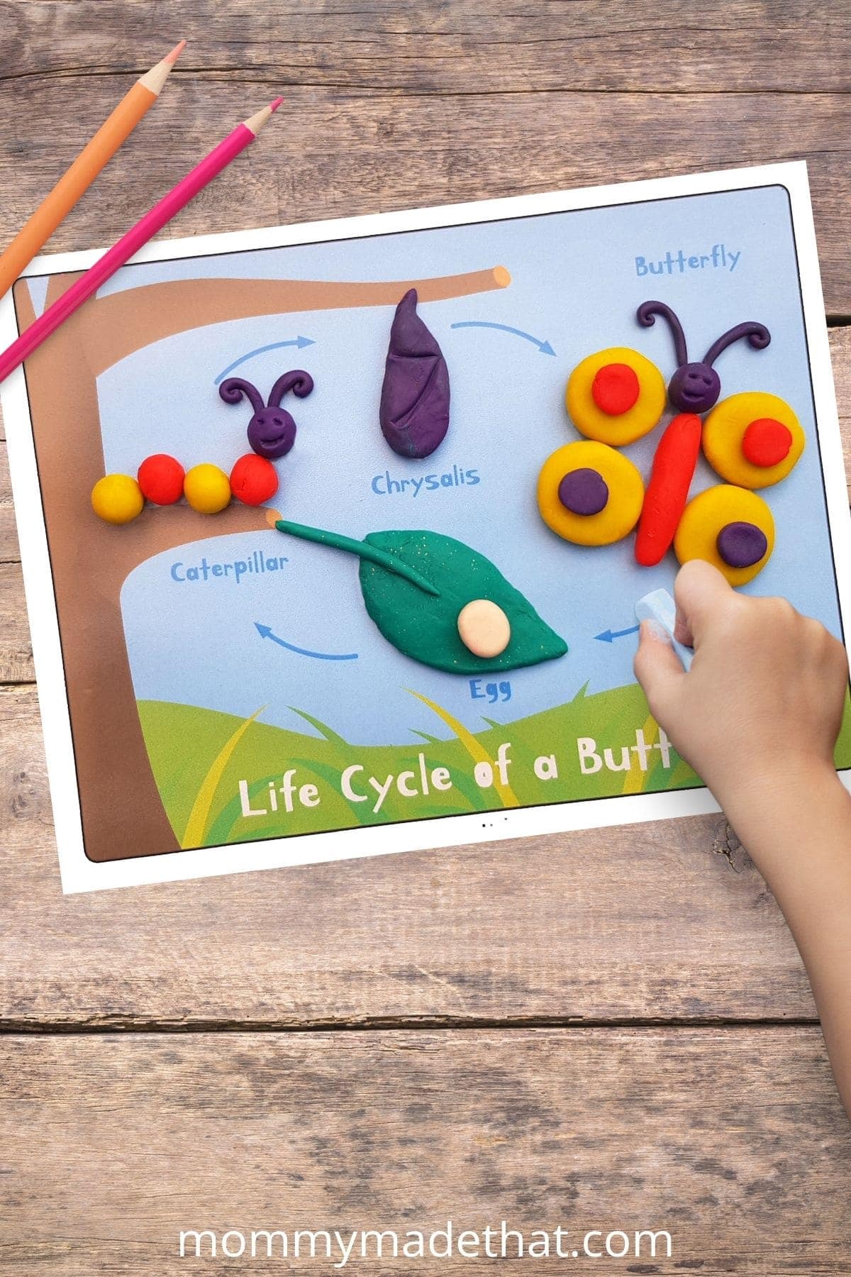 Butterfly life cycle mat with colorful play dough shapes