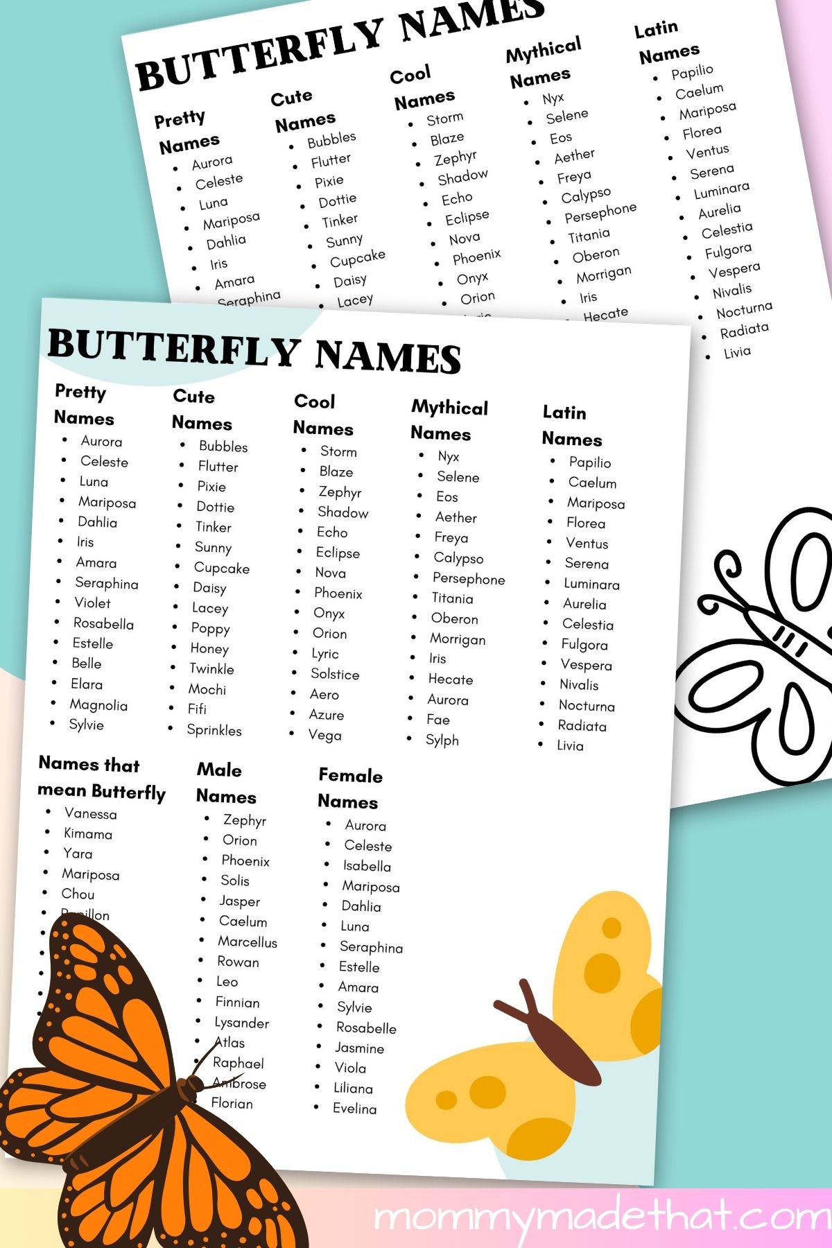 Buttefly names.