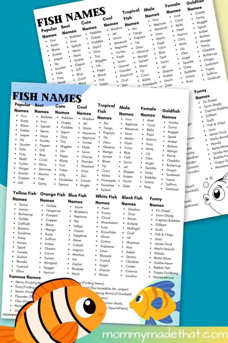 Fish Names Printable