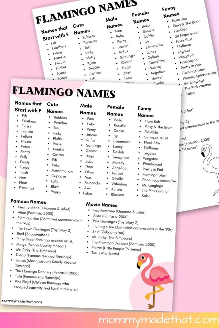 Flamingo Names Printable