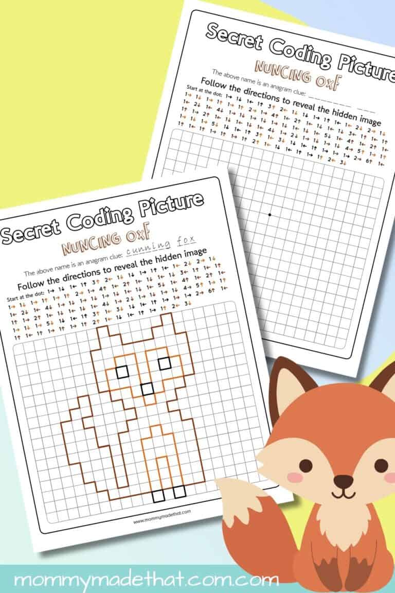 Fox Coding Picture Activity