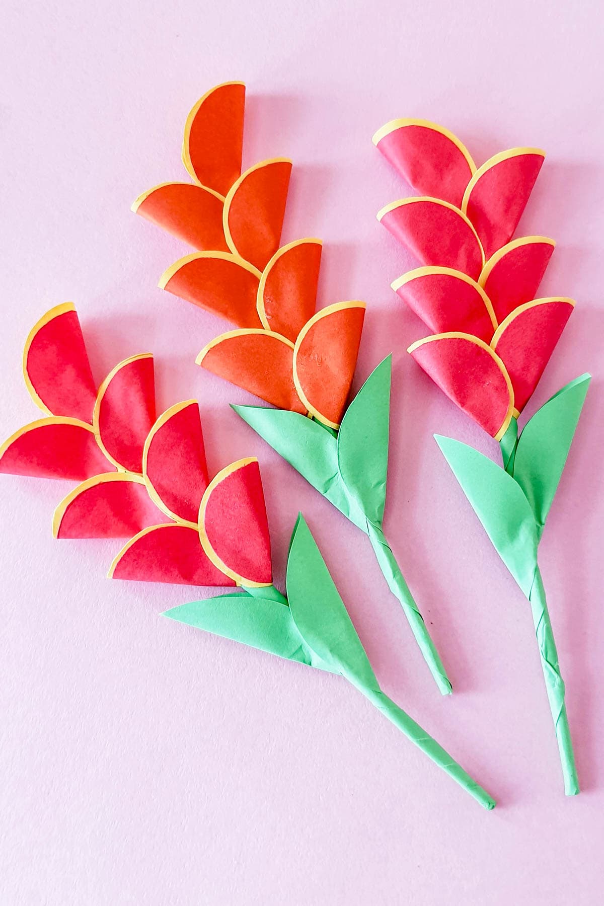 Paper Heliconia flower craft.