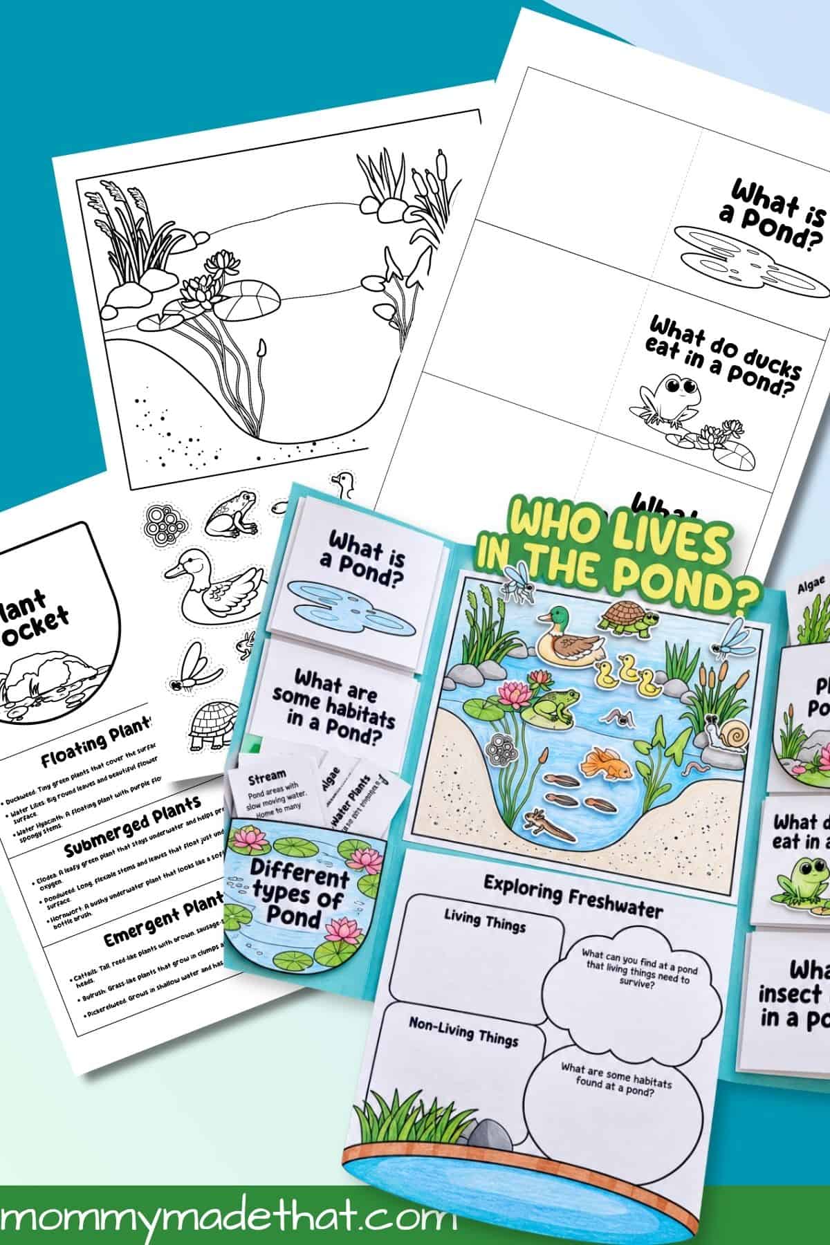 Pond Lapbook printable preview