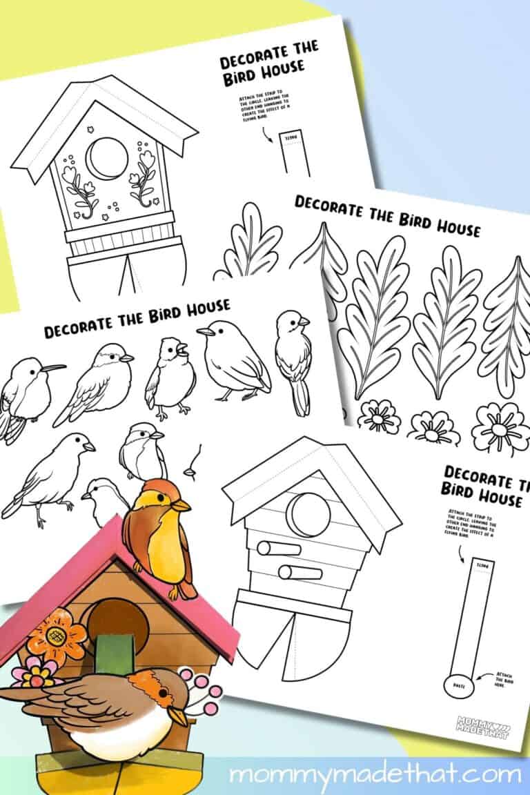 3D Bird House Craft