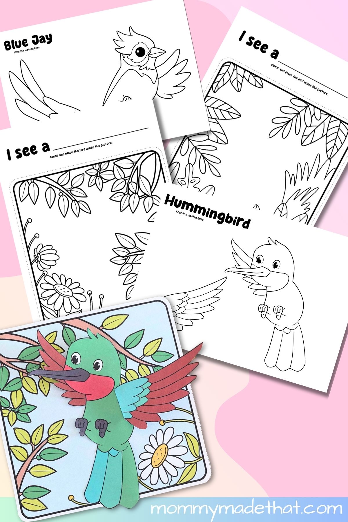3D birds and habitats coloring craft