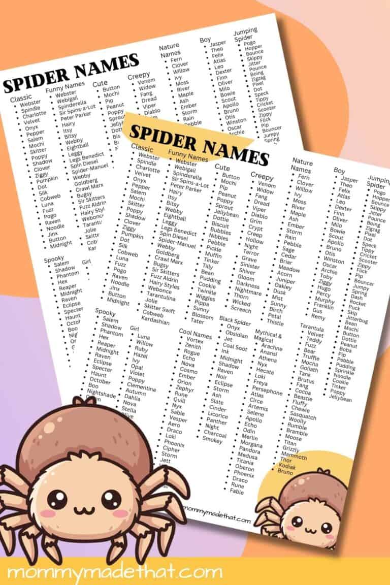 Spider Names Printable