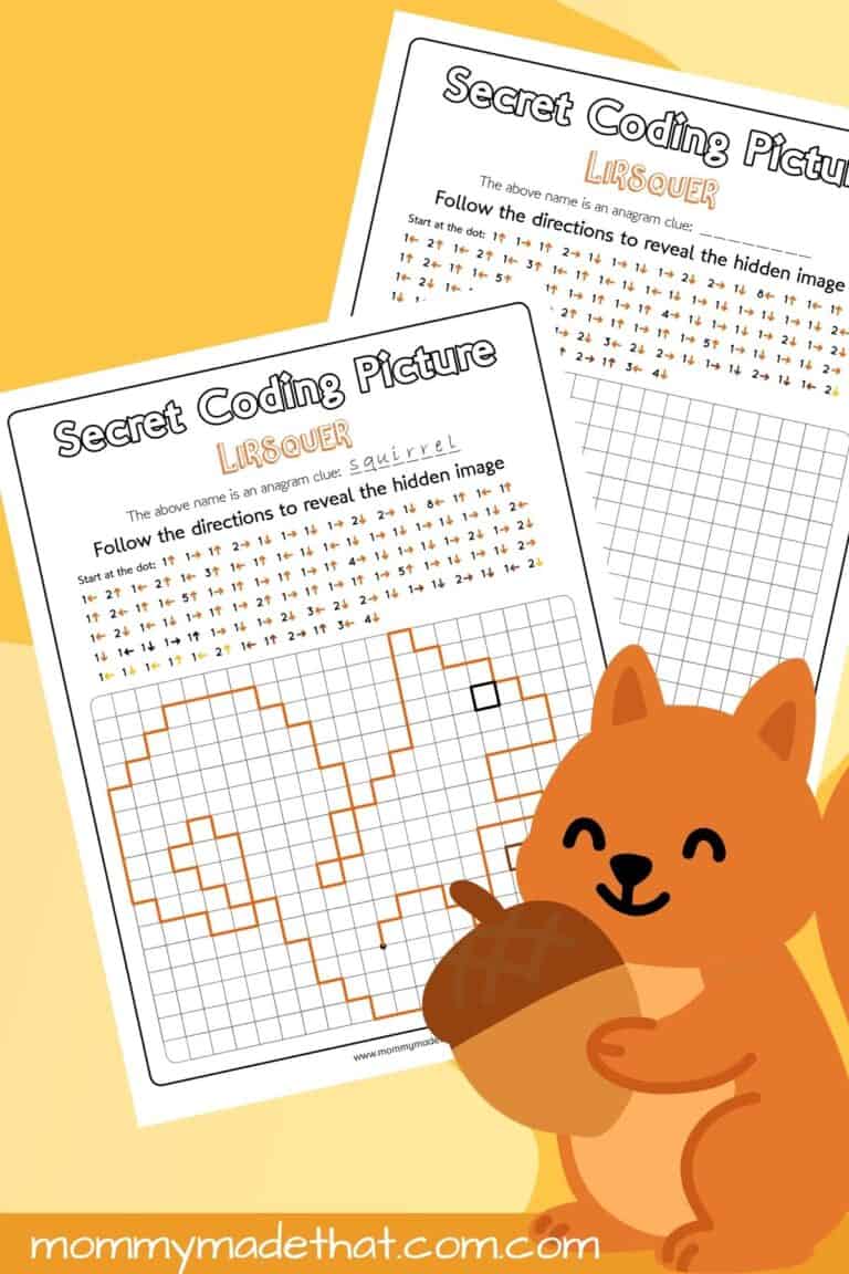 Squirrel Coding Picture Activity