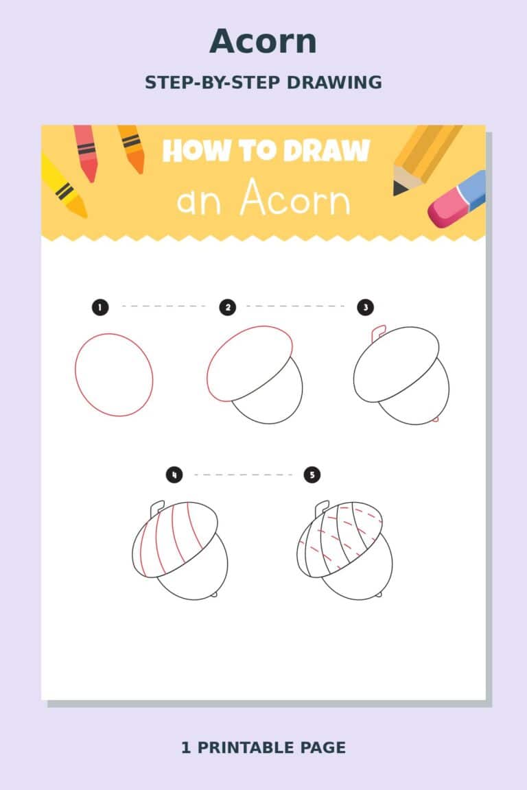 How to Draw Acorn