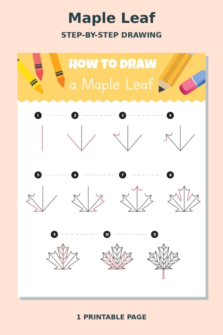How to Draw Maple Leaf