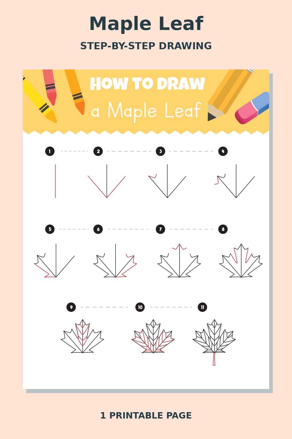 How to Draw Maple Leaf