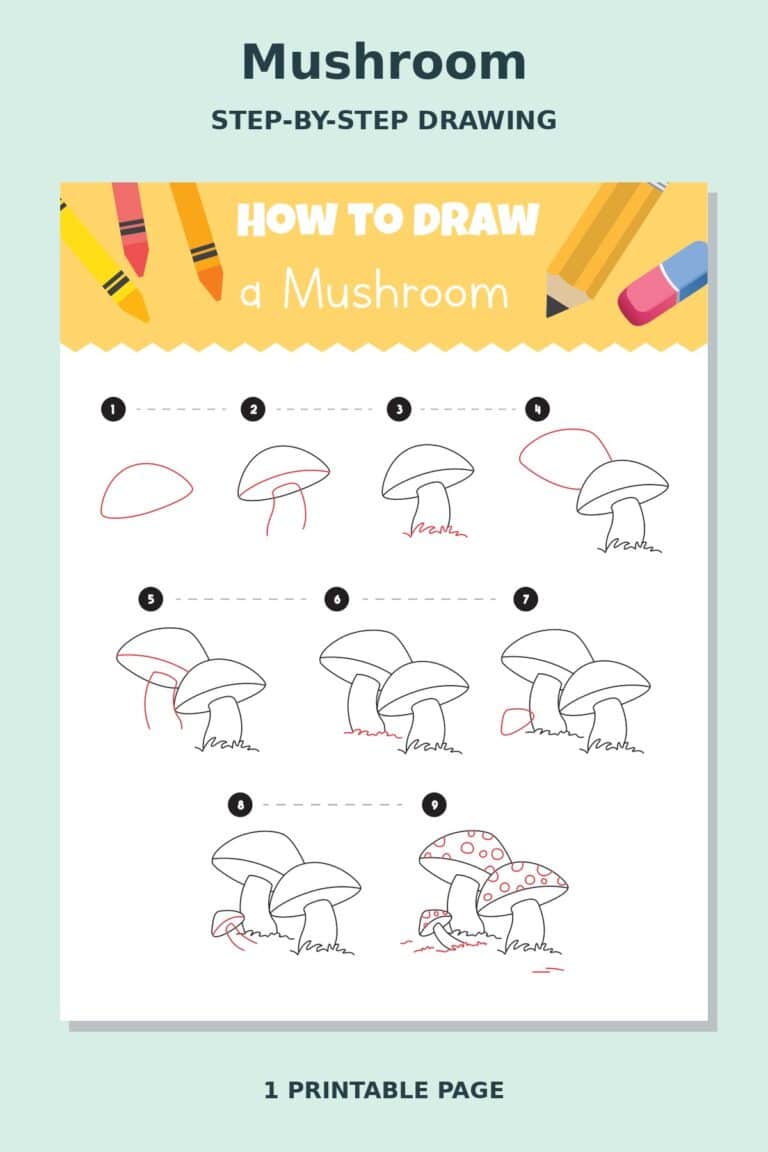 How to Draw Mushroom