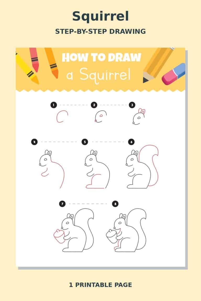 How to Draw Squirrel