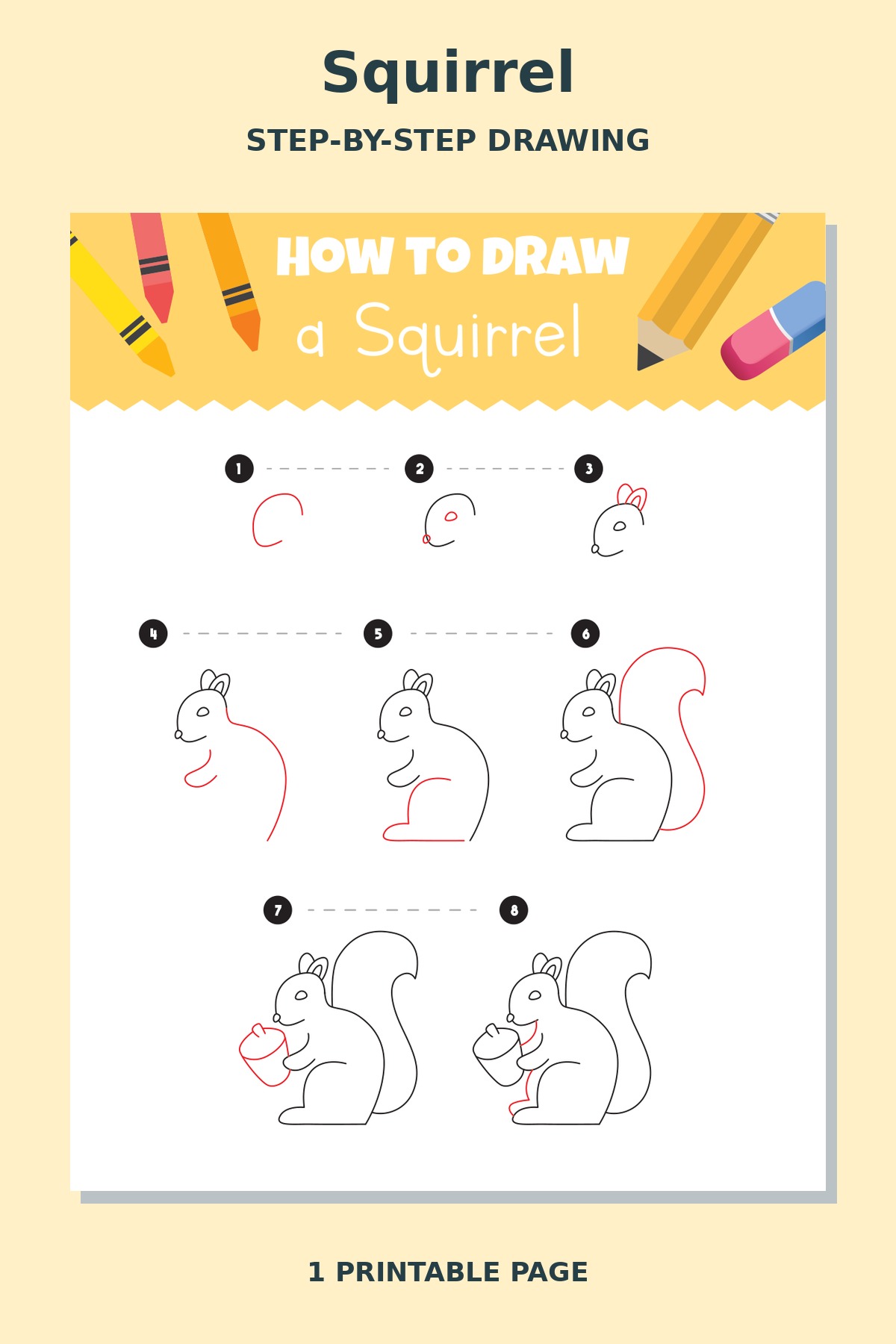 How to Draw Squirrel