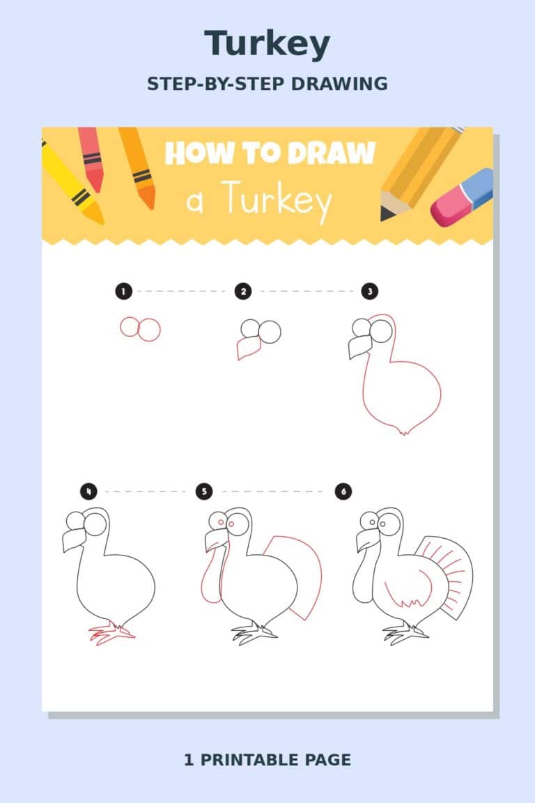How to Draw Turkey