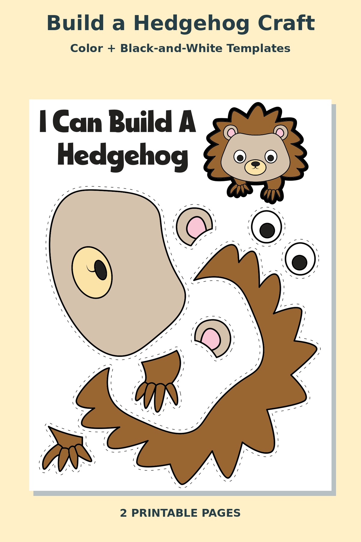 Build a Hedgehog Craft