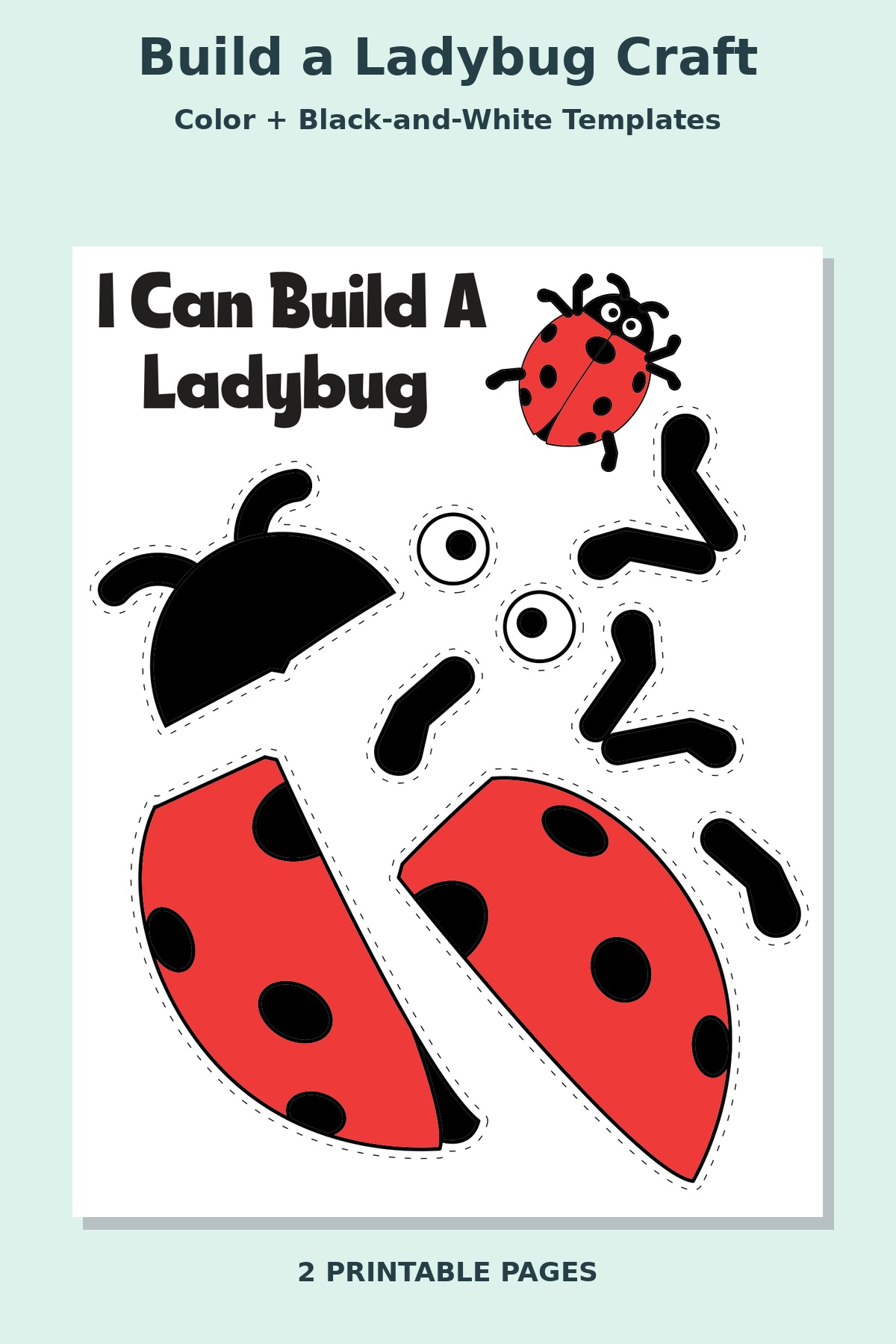 Build a Ladybug Craft
