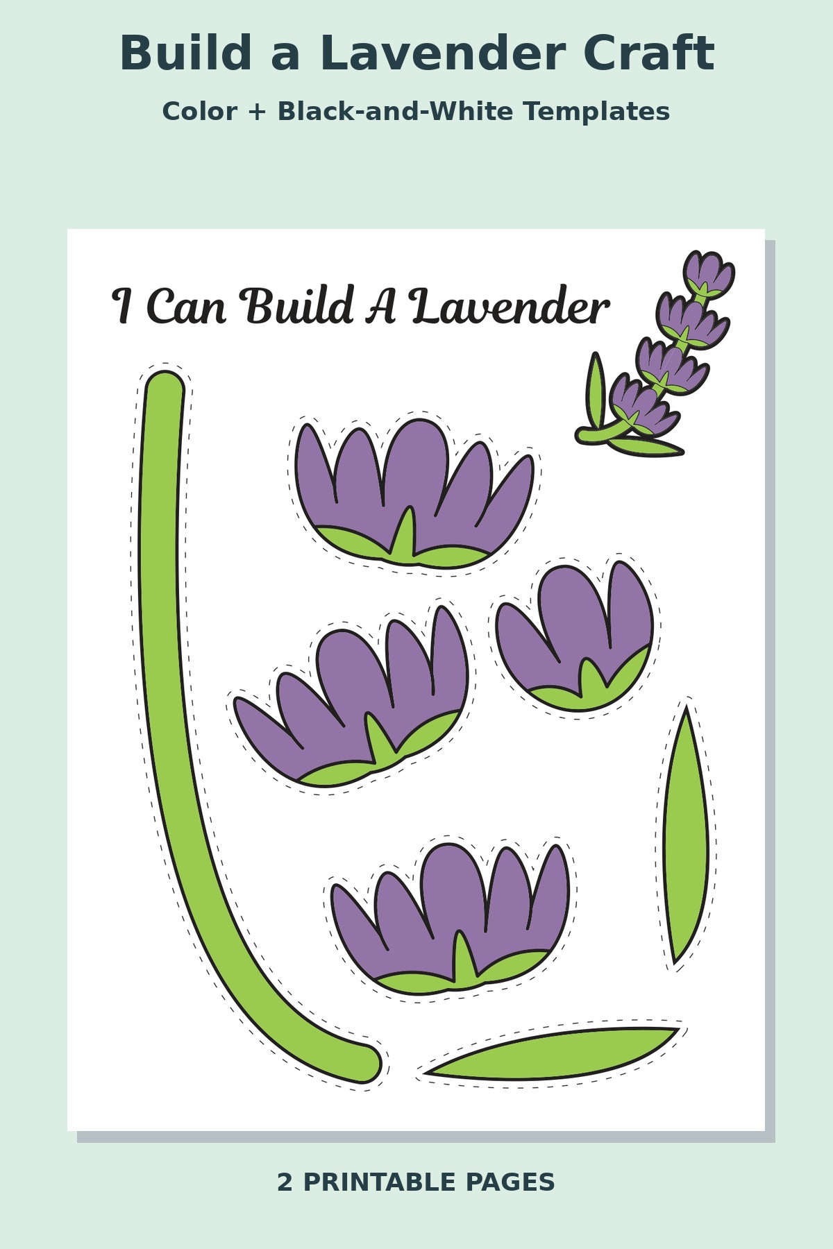 Build a Lavender Craft