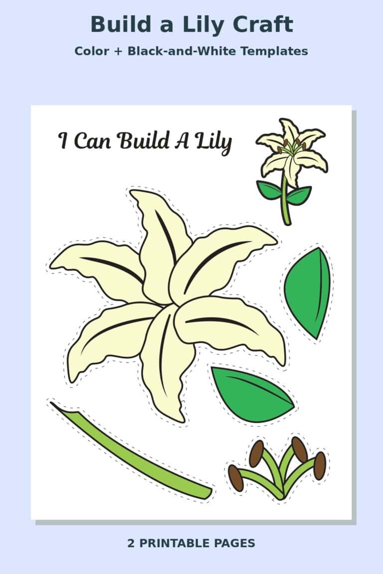 Build a Lily Craft