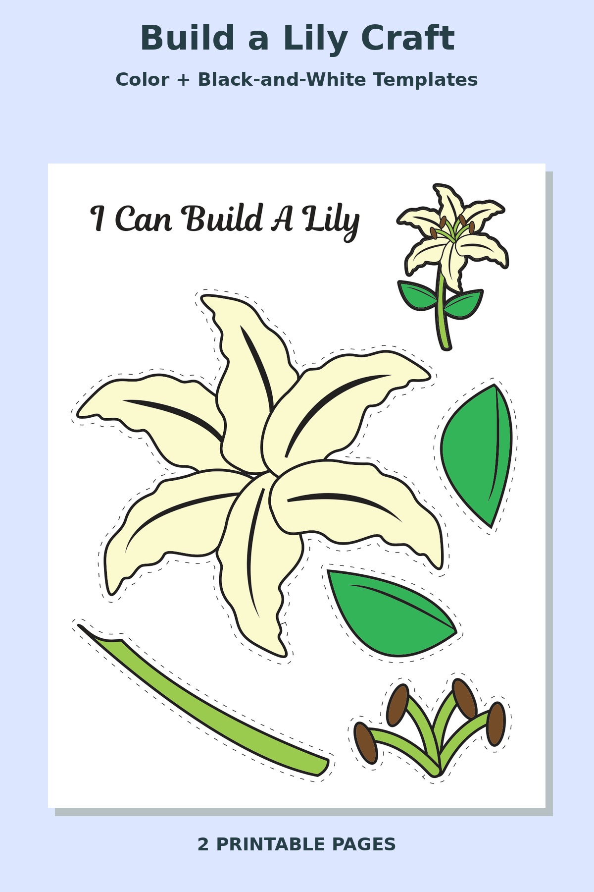 Build a Lily Craft