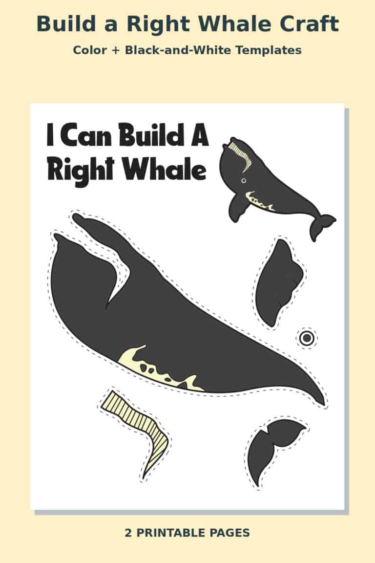 Build a Right Whale Craft