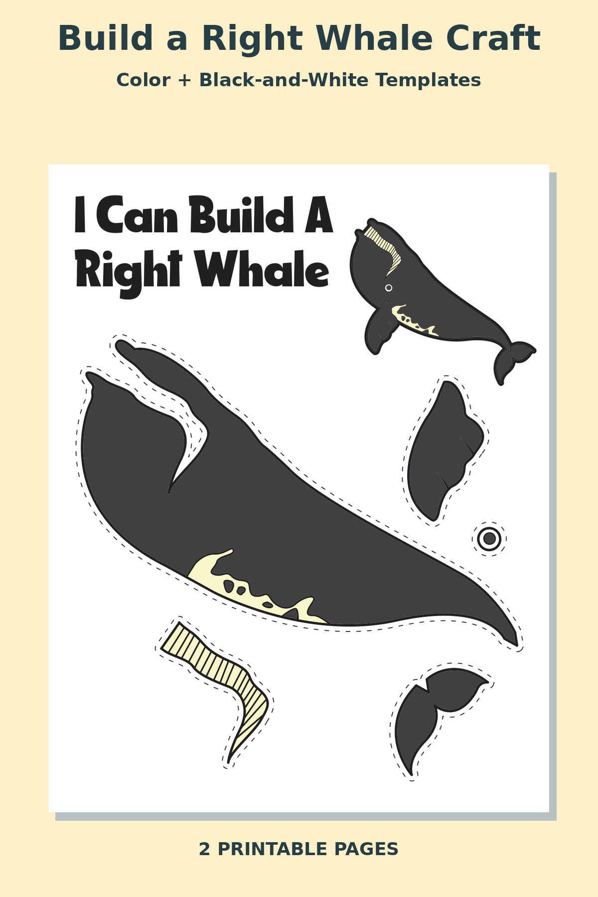 Build a Right Whale Craft