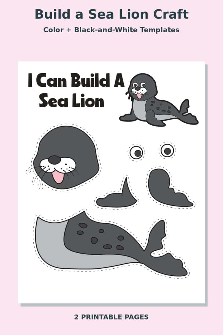 Build a Sea Lion Craft