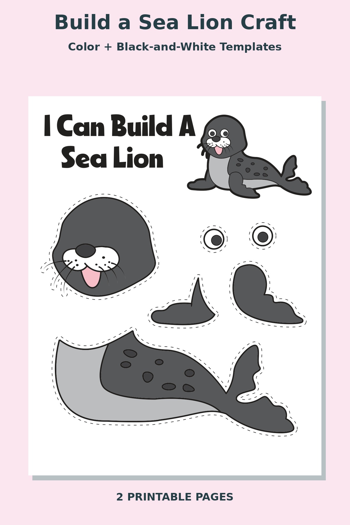 Build a Sea Lion Craft