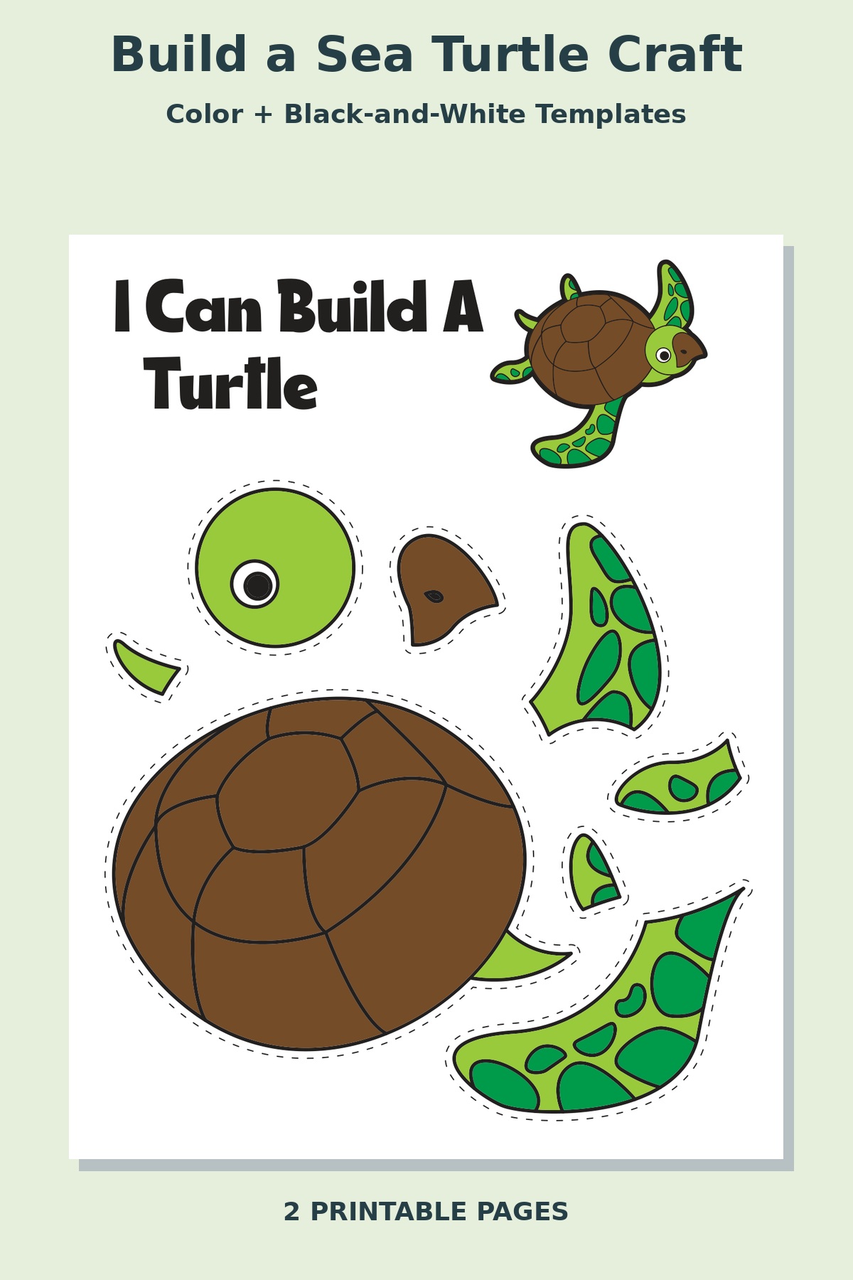 Build a Sea Turtle Craft