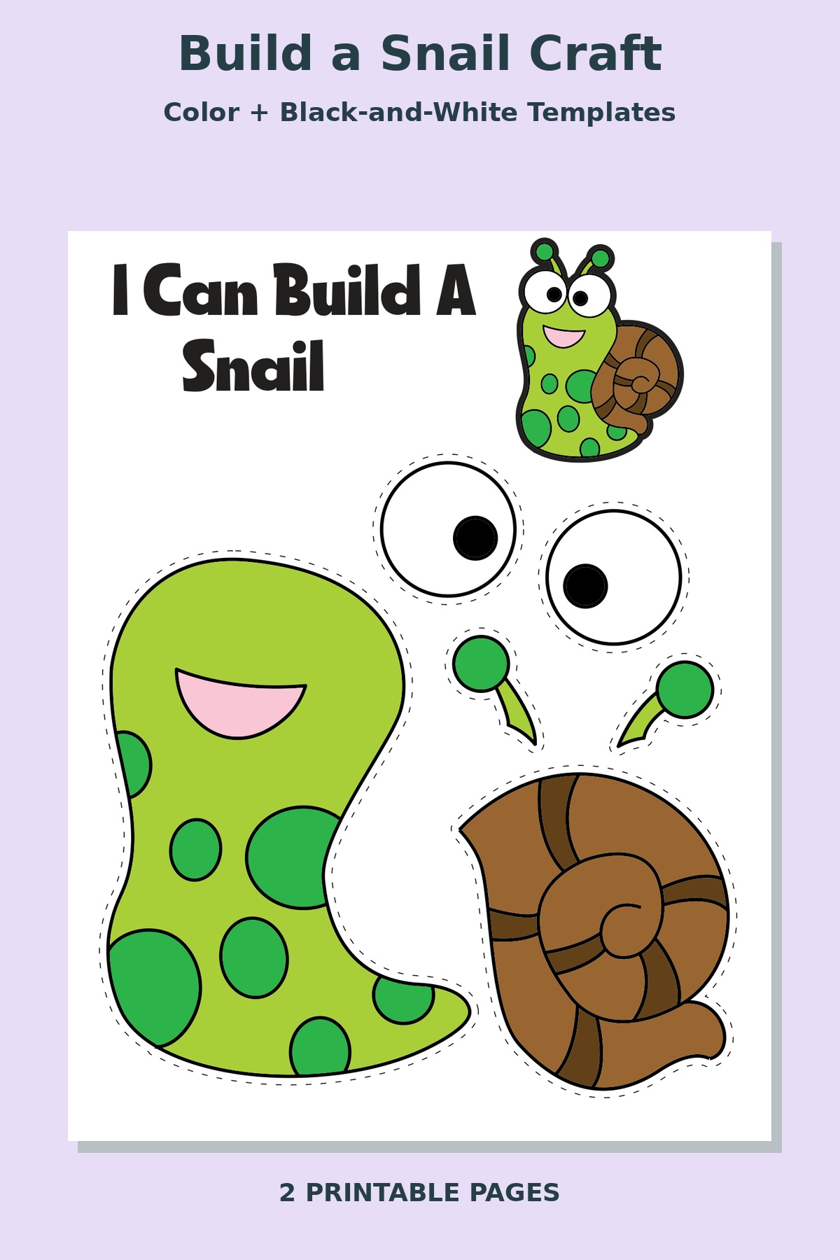 Build a Snail Craft