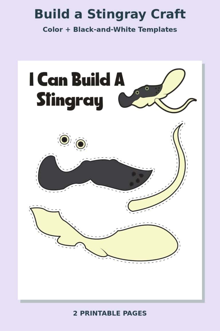 Build a Stingray Craft