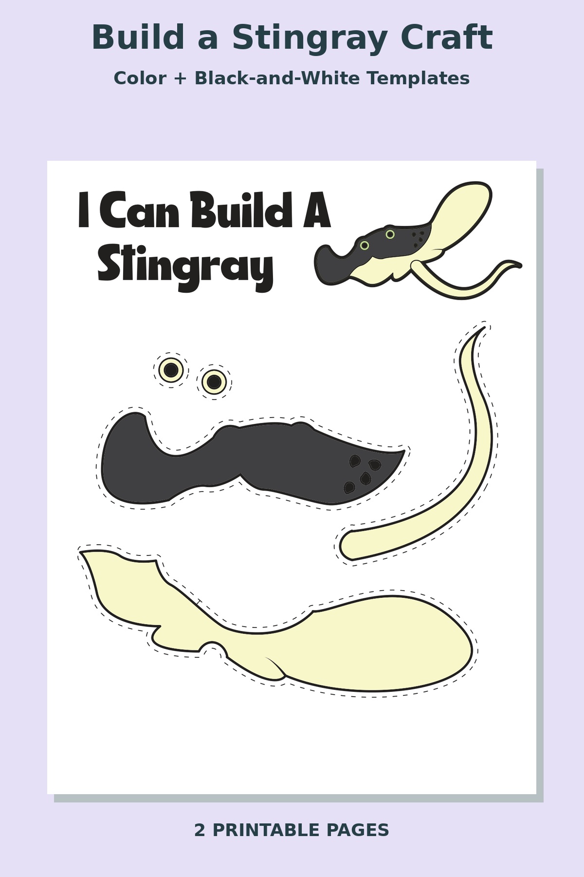 Build a Stingray Craft