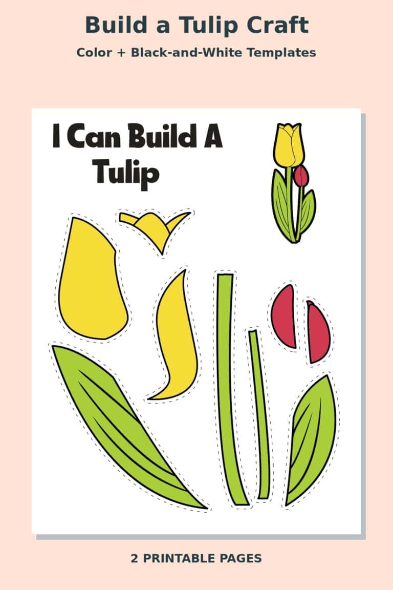 Build a Tulip Craft