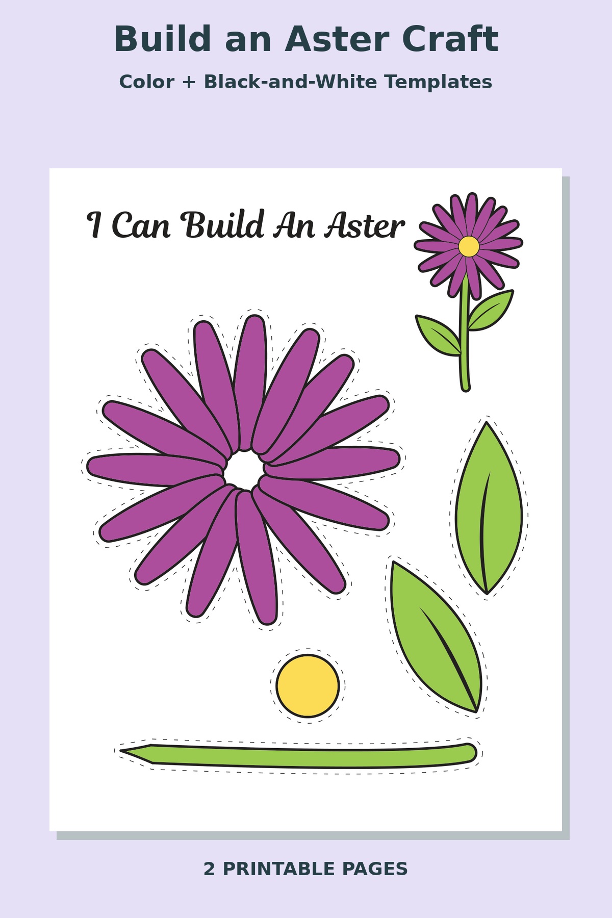 Build an Aster Craft