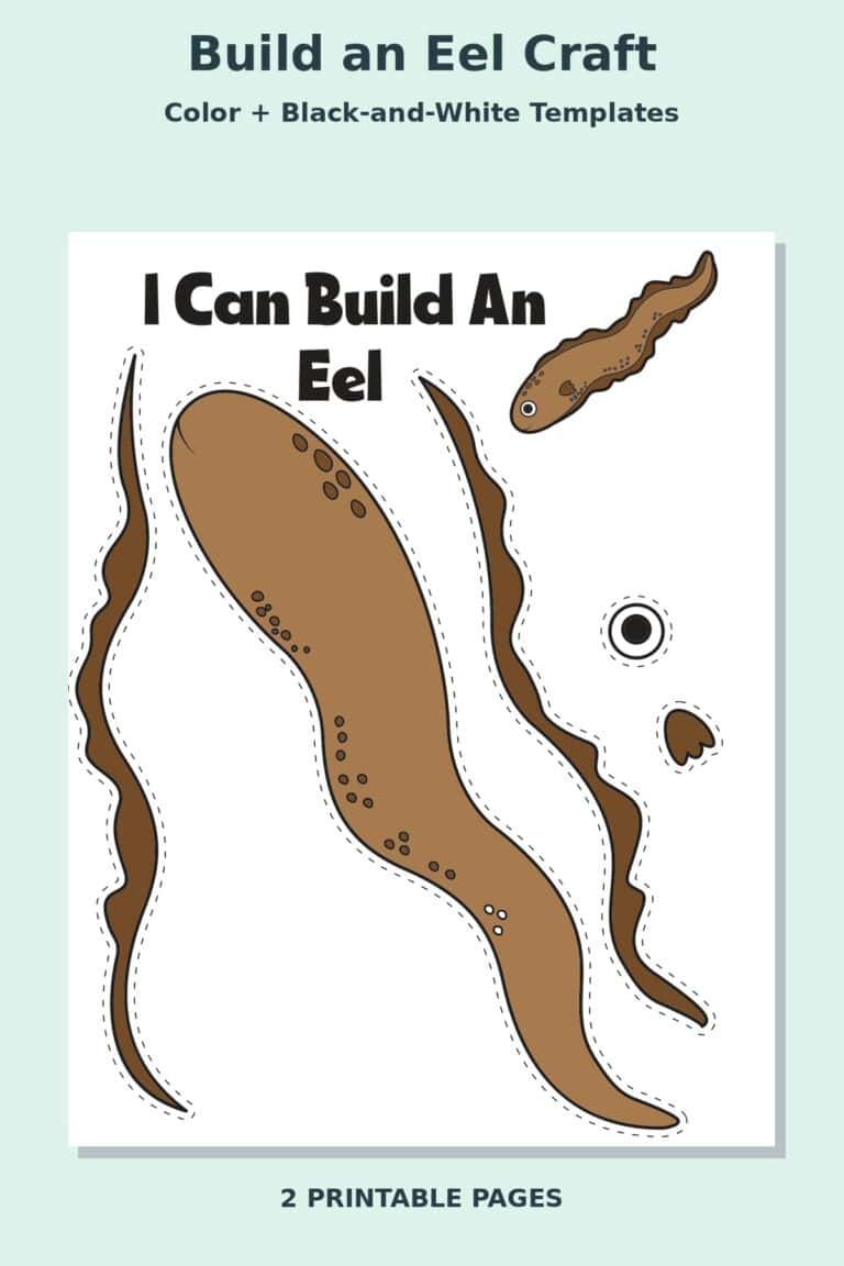 Build an Eel Craft