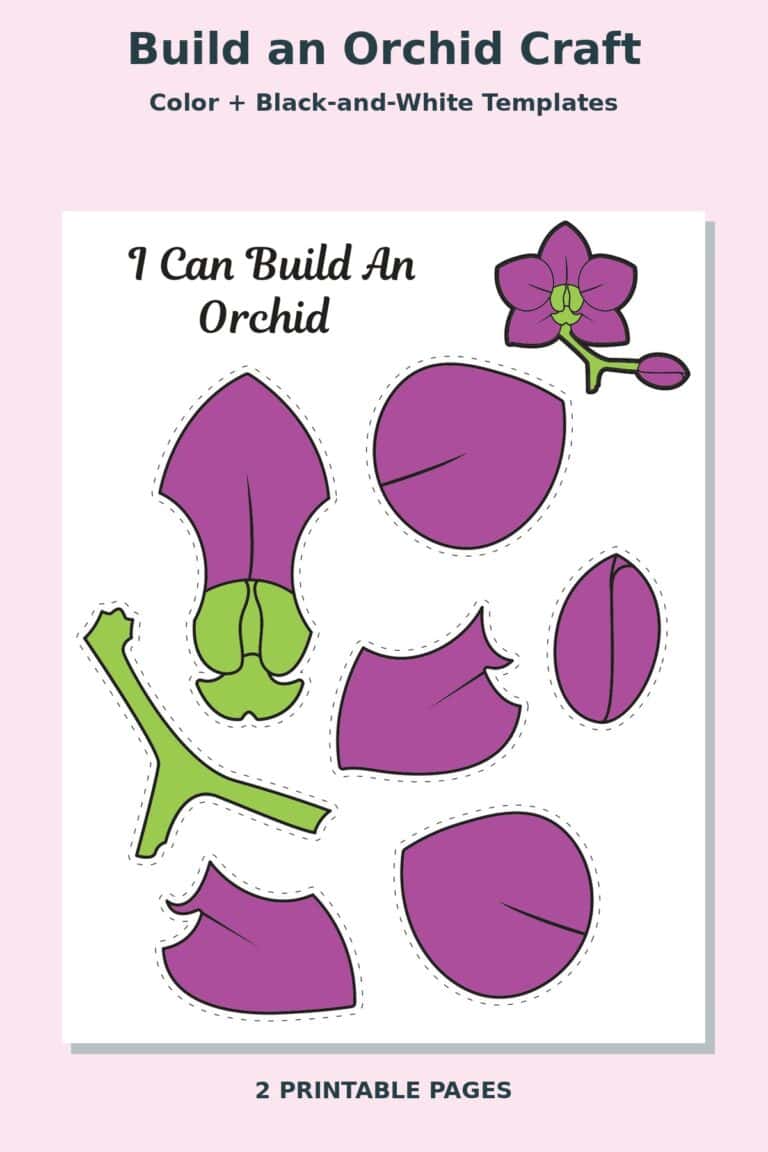 Build an Orchid Craft