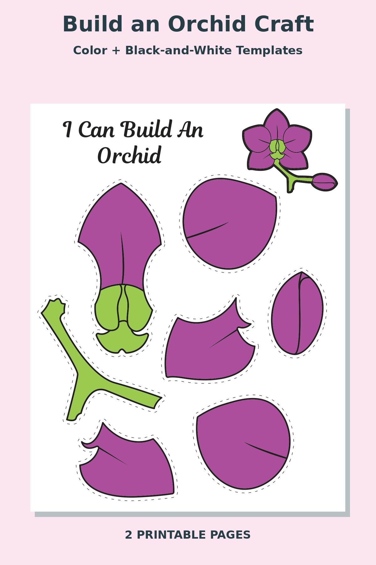 Build an Orchid Craft