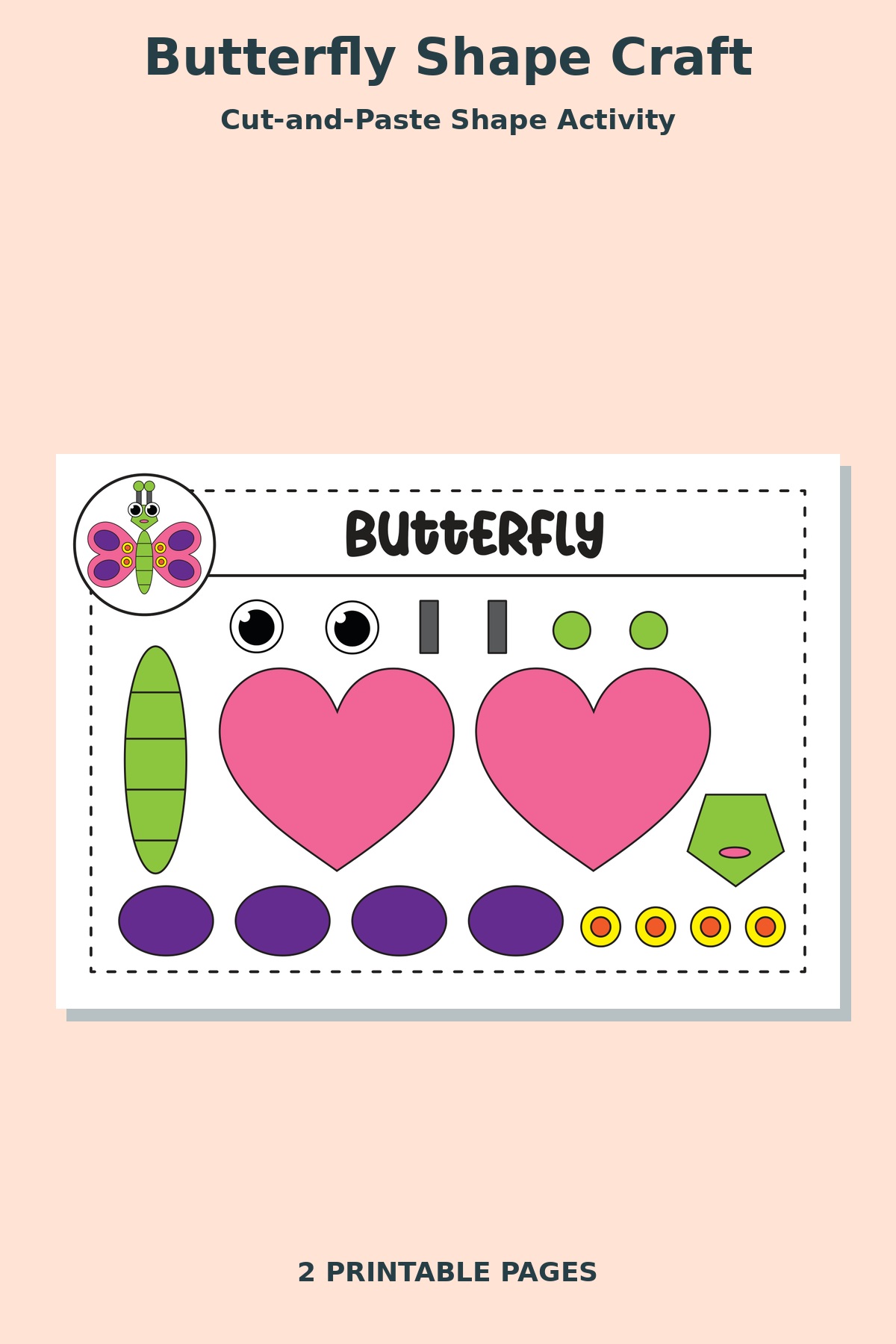 Butterfly Shape Craft
