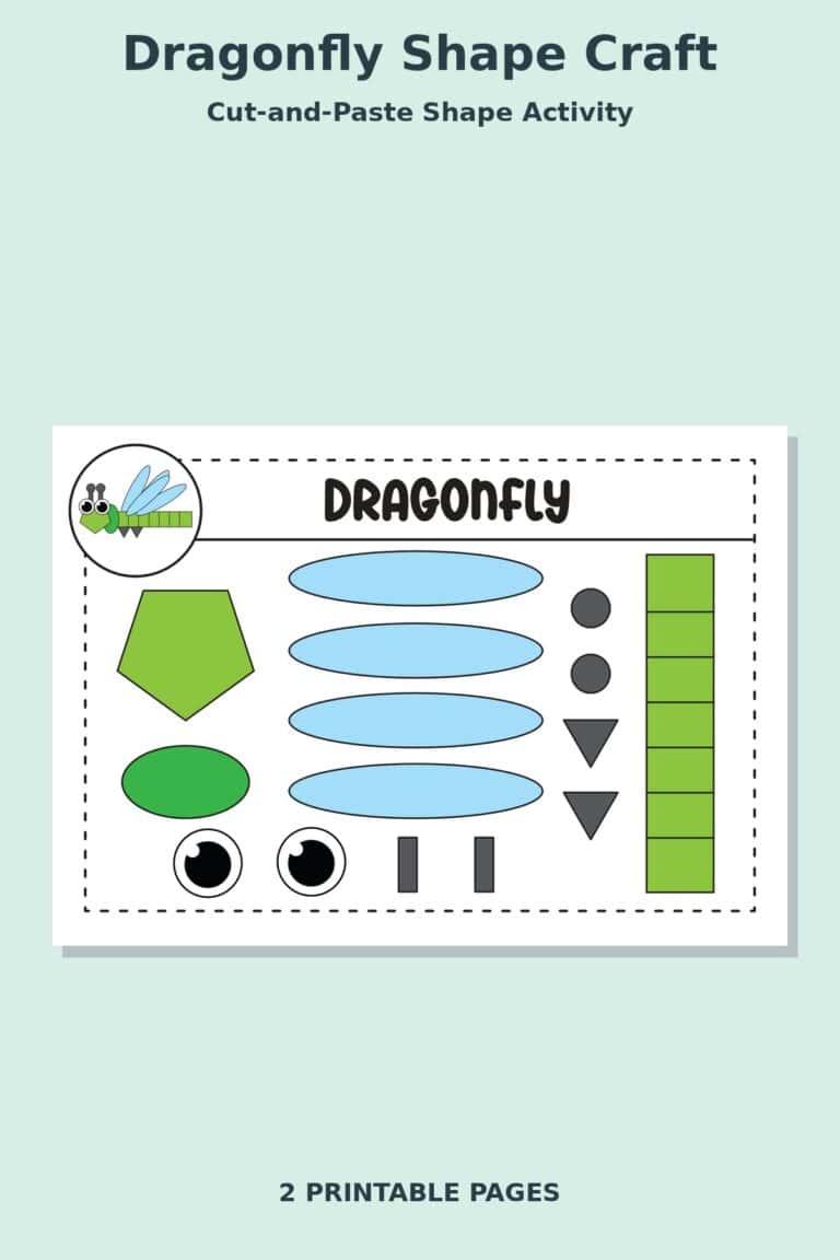 Dragonfly Shape Craft