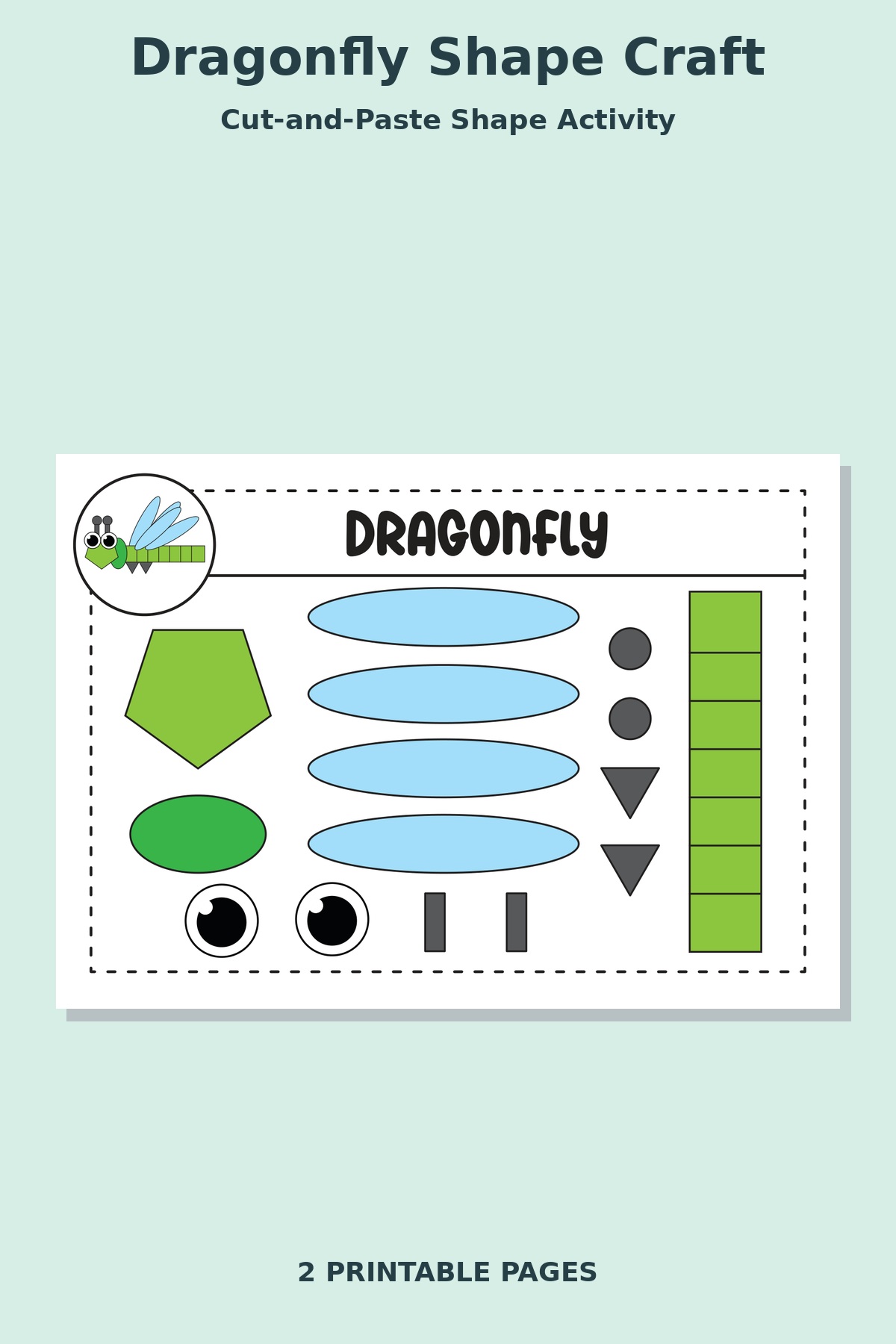 Dragonfly Shape Craft