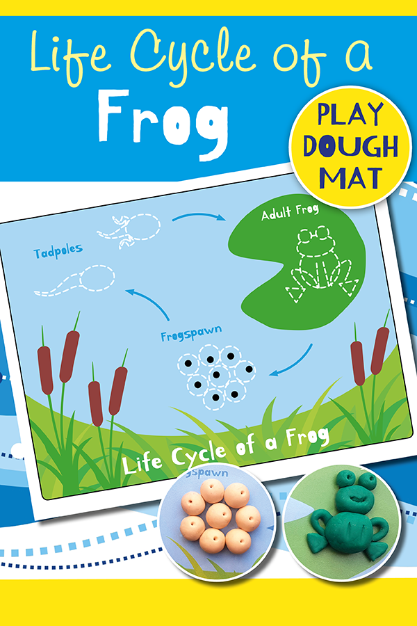 Frog Life Cycle Play Dough Mat