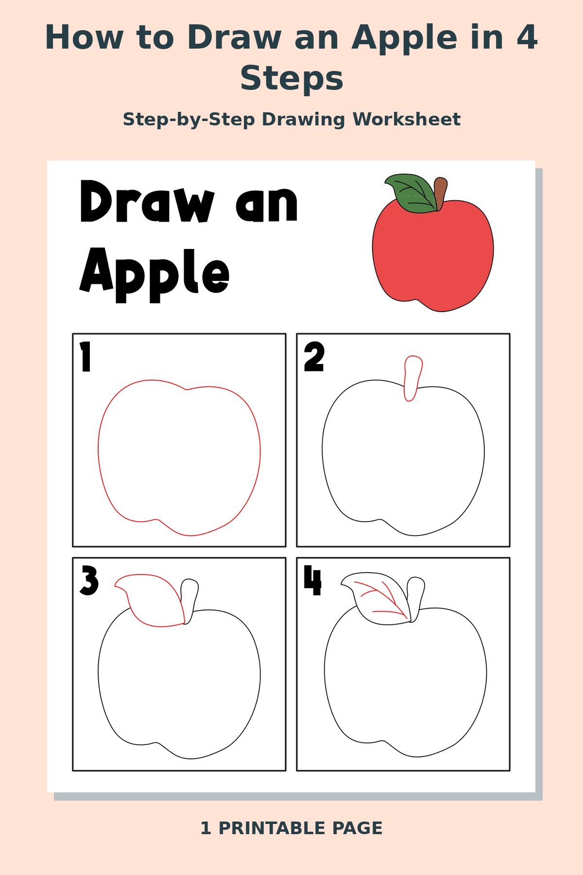 How to Draw an Apple in 4 Steps