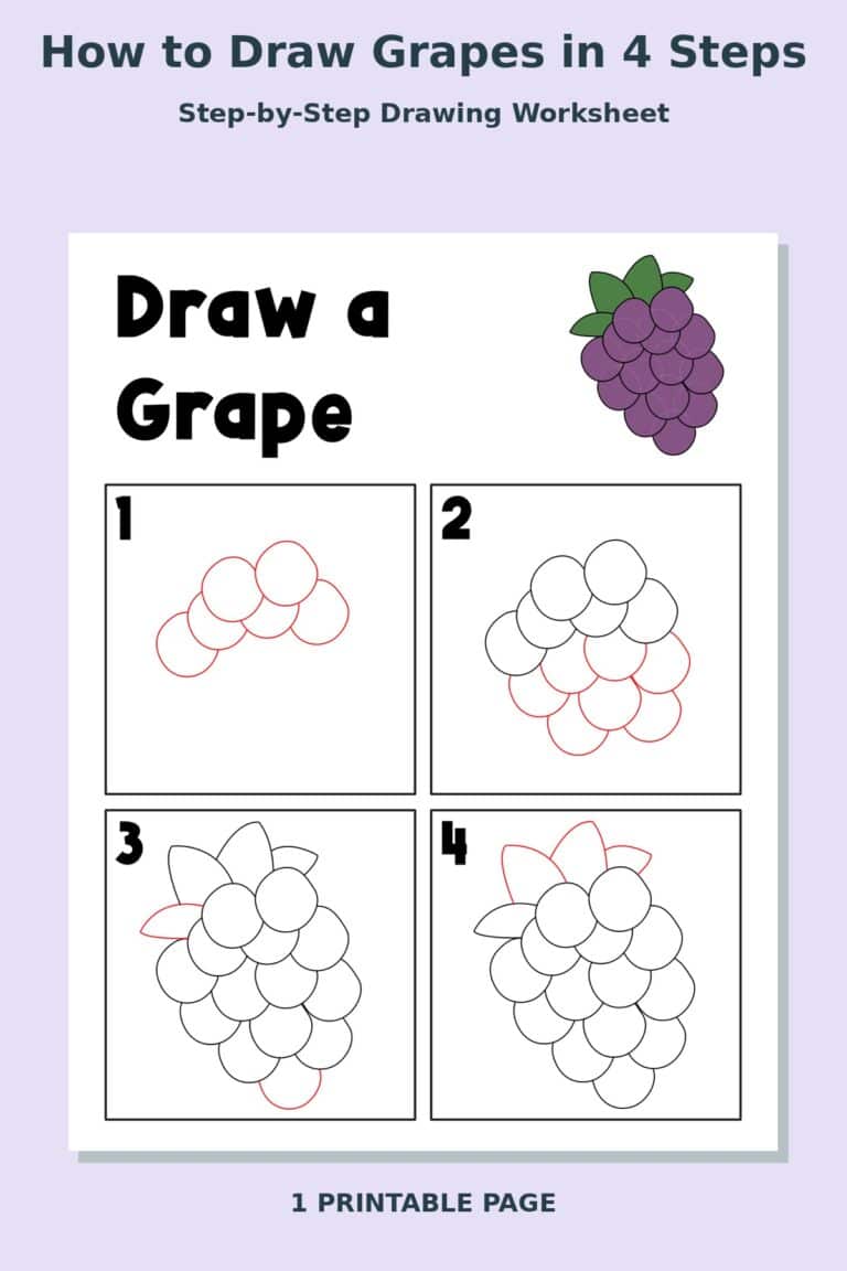 How to Draw Grapes in 4 Steps
