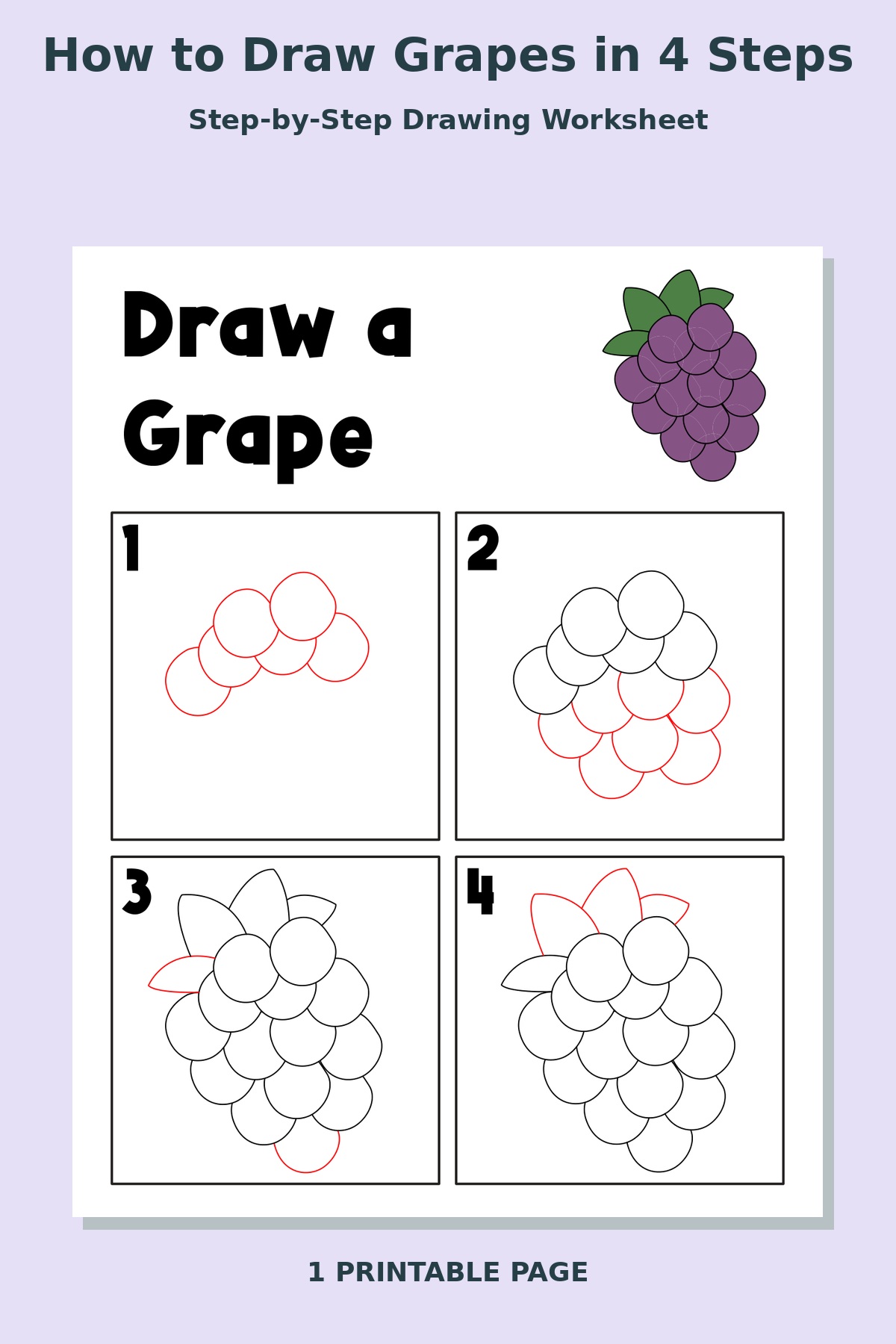 How to Draw Grapes in 4 Steps