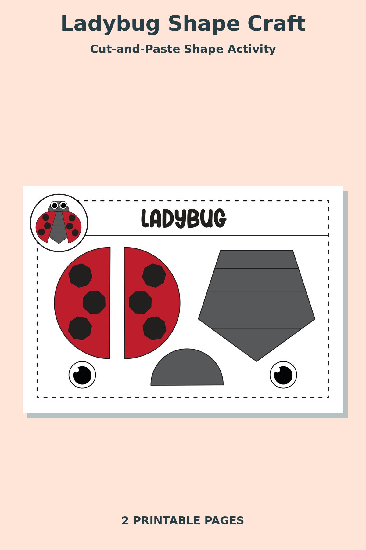 Ladybug Shape Craft