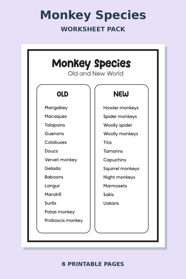 Monkey Species Worksheets