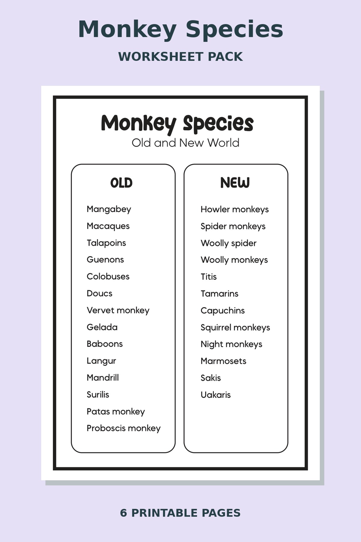 Monkey Species Worksheets