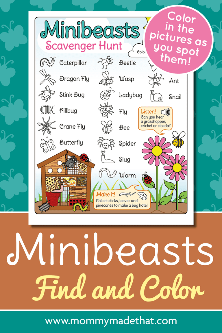 Minibeasts Scavenger Hunt