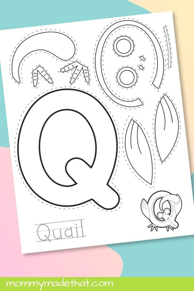 Letter Q Quail Craft