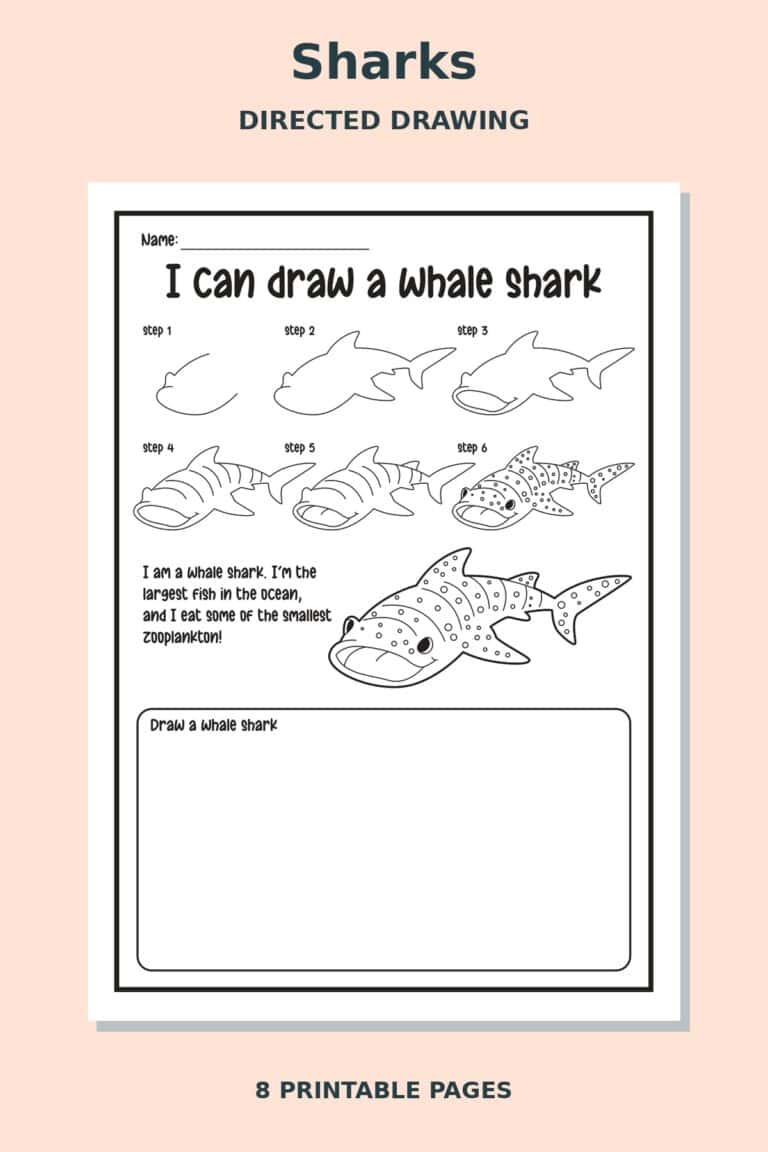 Shark Directed Drawing Worksheets
